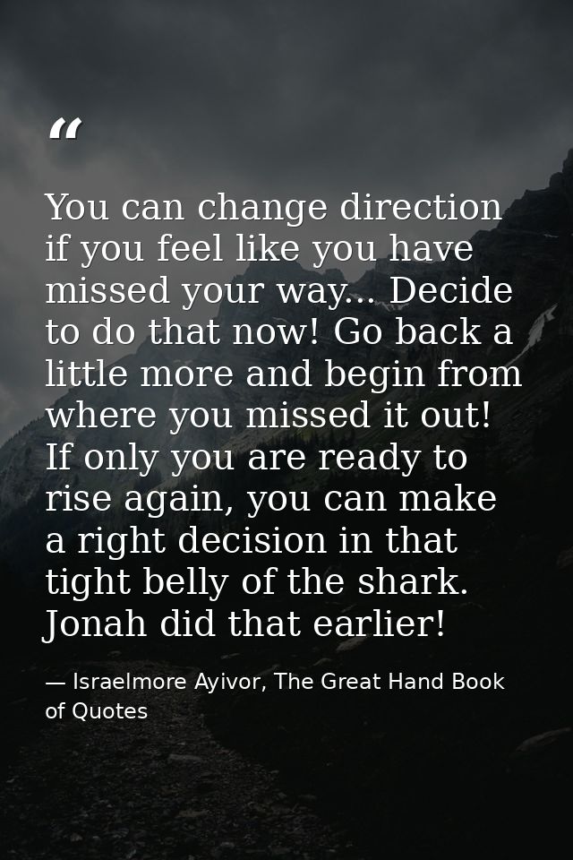 You can change direction if you feel like you have missed your way... Decide to do that now! Go back a little more and b — Israelmore Ayivor, The Great Hand Book of Quotes