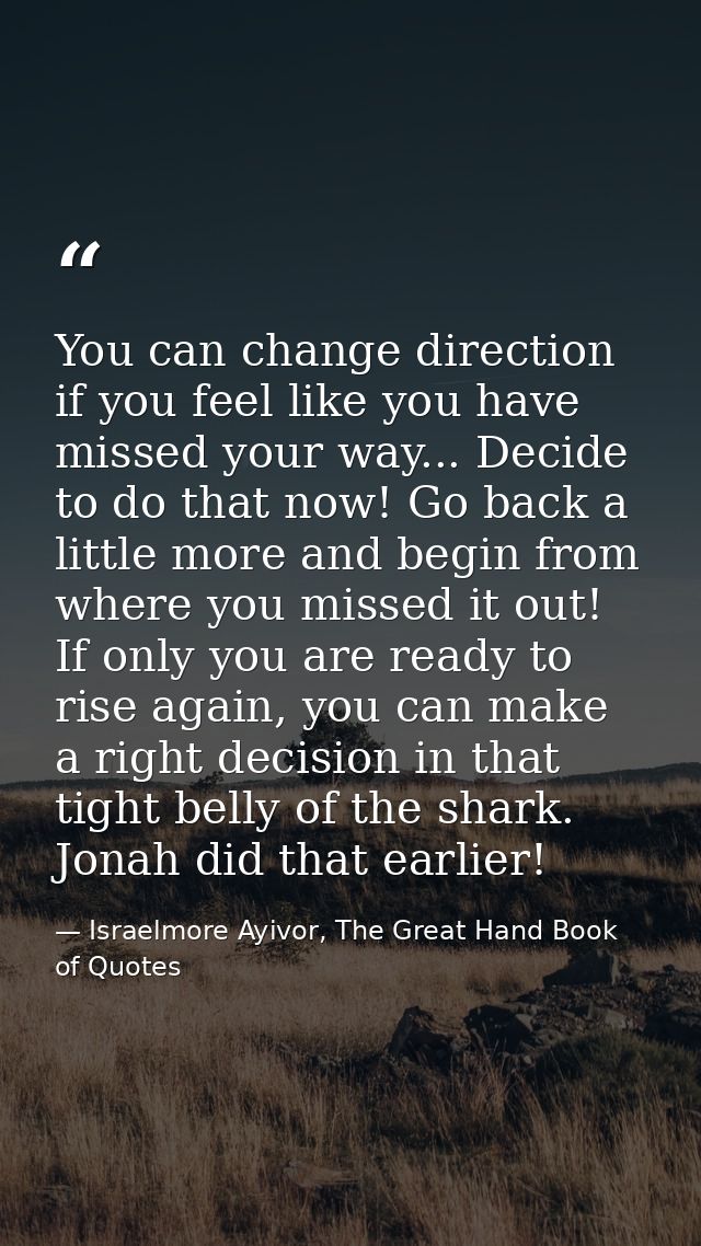 You can change direction if you feel like you have missed your way... Decide to do that now! Go back a little more and b — Israelmore Ayivor, The Great Hand Book of Quotes