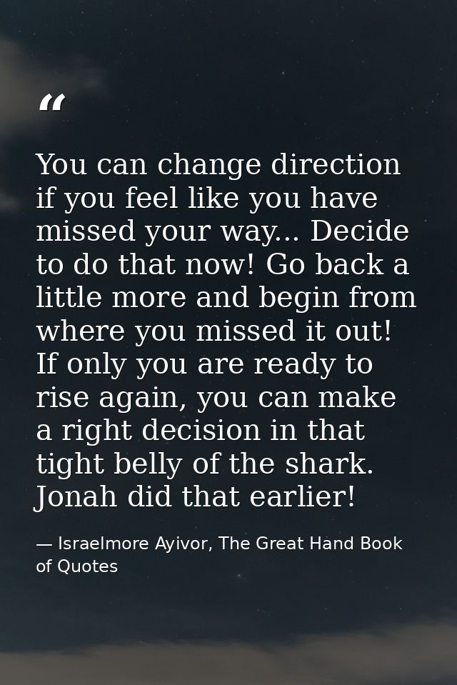 You can change direction if you feel like you have missed your way... Decide to do that now! Go back a little more and b — Israelmore Ayivor, The Great Hand Book of Quotes