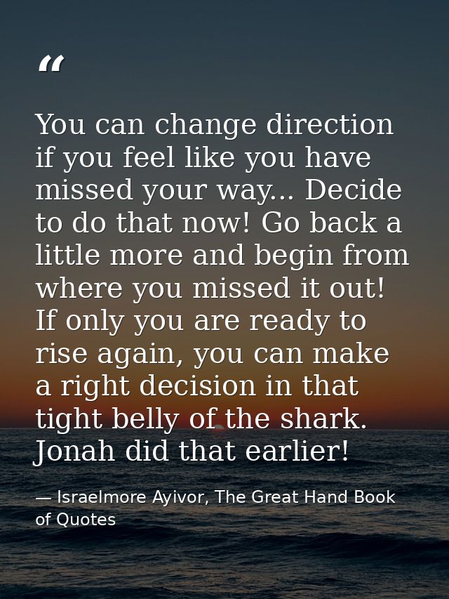 You can change direction if you feel like you have missed your way... Decide to do that now! Go back a little more and b — Israelmore Ayivor, The Great Hand Book of Quotes