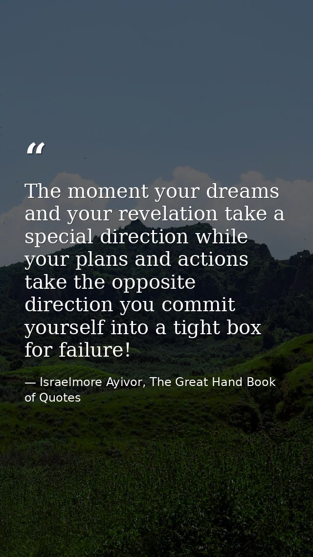 The moment your dreams and your revelation take a special direction while your plans and actions take the opposite direc — Israelmore Ayivor, The Great Hand Book of Quotes
