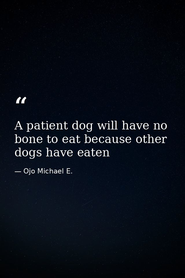 A patient dog will have no bone to eat because other dogs have eaten — Ojo Michael E.
