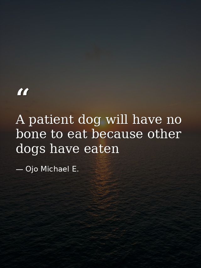 A patient dog will have no bone to eat because other dogs have eaten — Ojo Michael E.