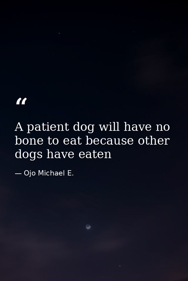 A patient dog will have no bone to eat because other dogs have eaten — Ojo Michael E.