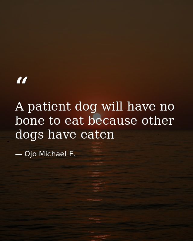A patient dog will have no bone to eat because other dogs have eaten — Ojo Michael E.