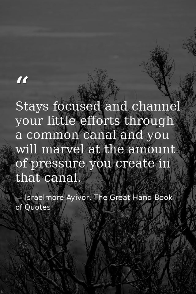 Stays focused and channel your little efforts through a common canal and you will marvel at the amount of pressure you c — Israelmore Ayivor, The Great Hand Book of Quotes