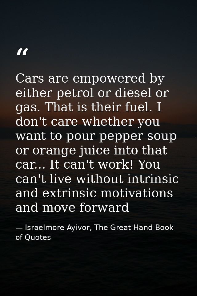 Cars are empowered by either petrol or diesel or gas. That is their fuel. I don't care whether you want to pour pepper s — Israelmore Ayivor, The Great Hand Book of Quotes