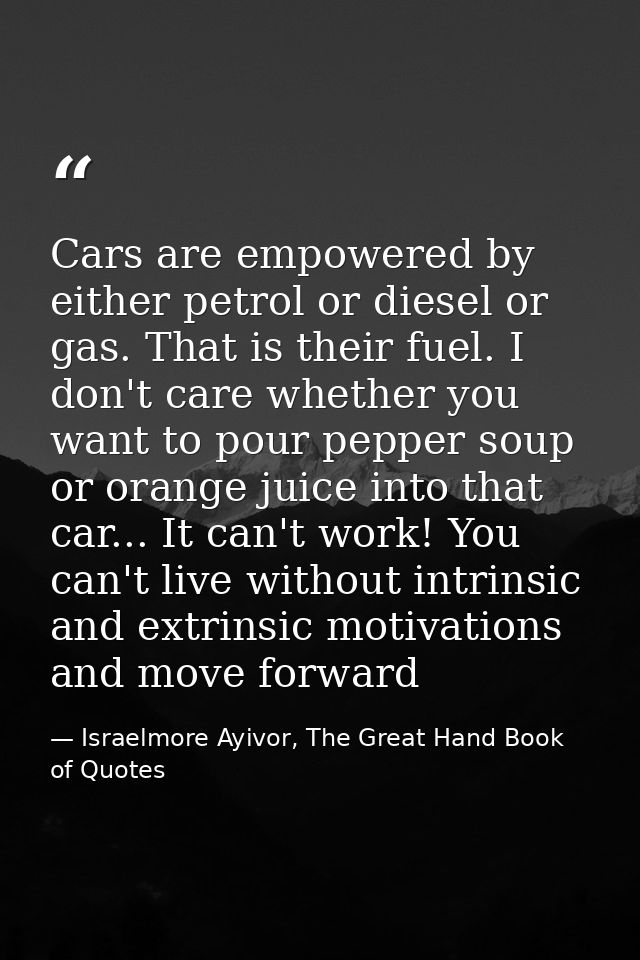 Cars are empowered by either petrol or diesel or gas. That is their fuel. I don't care whether you want to pour pepper s — Israelmore Ayivor, The Great Hand Book of Quotes