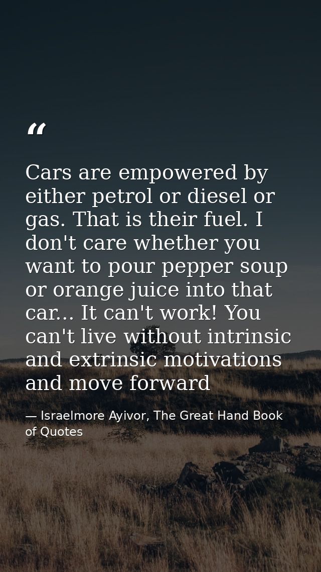 Cars are empowered by either petrol or diesel or gas. That is their fuel. I don't care whether you want to pour pepper s — Israelmore Ayivor, The Great Hand Book of Quotes