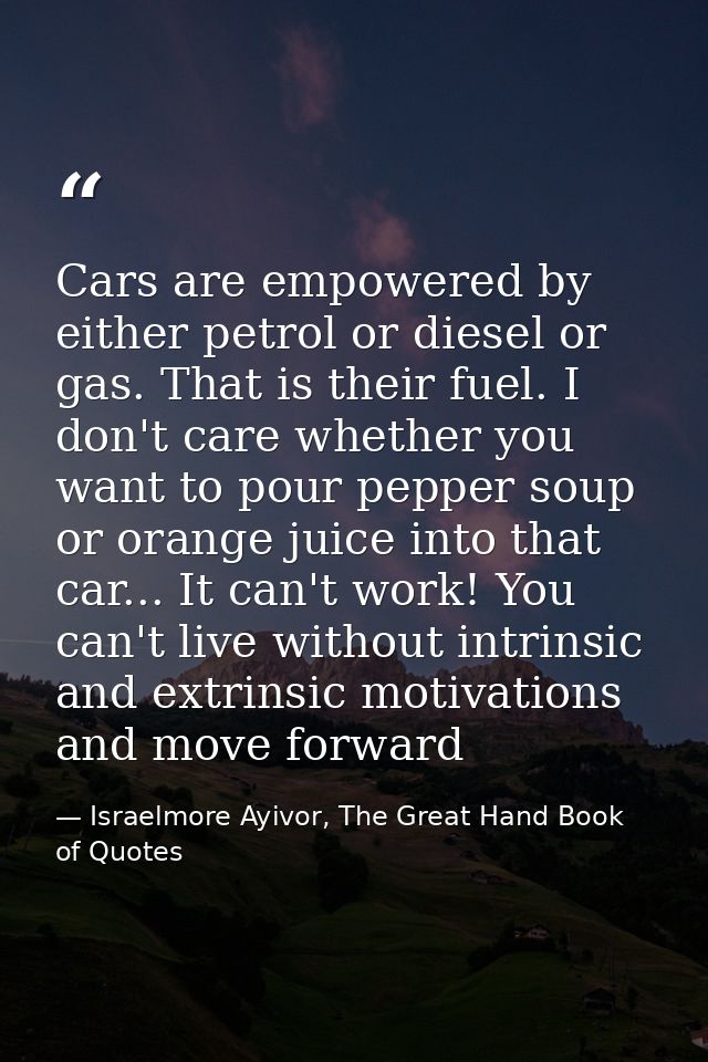 Cars are empowered by either petrol or diesel or gas. That is their fuel. I don't care whether you want to pour pepper s — Israelmore Ayivor, The Great Hand Book of Quotes