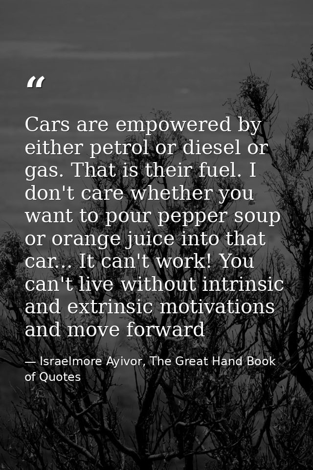 Cars are empowered by either petrol or diesel or gas. That is their fuel. I don't care whether you want to pour pepper s — Israelmore Ayivor, The Great Hand Book of Quotes