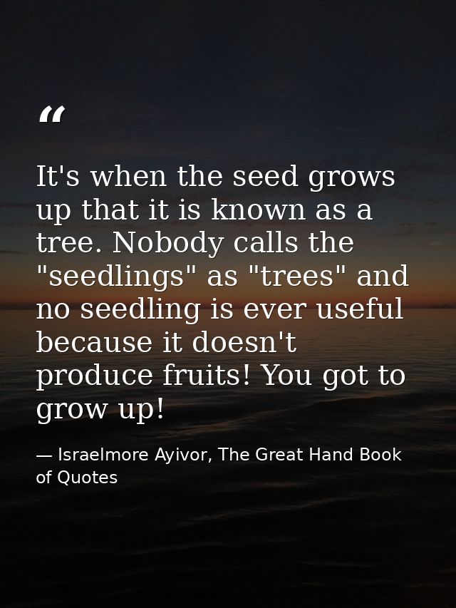It's when the seed grows up that it is known as a tree. Nobody calls the "seedlings" as "trees" and no seedling is ever  — Israelmore Ayivor, The Great Hand Book of Quotes
