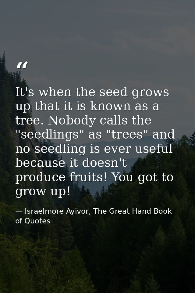 It's when the seed grows up that it is known as a tree. Nobody calls the "seedlings" as "trees" and no seedling is ever  — Israelmore Ayivor, The Great Hand Book of Quotes