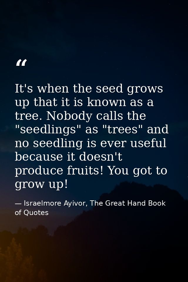 It's when the seed grows up that it is known as a tree. Nobody calls the "seedlings" as "trees" and no seedling is ever  — Israelmore Ayivor, The Great Hand Book of Quotes