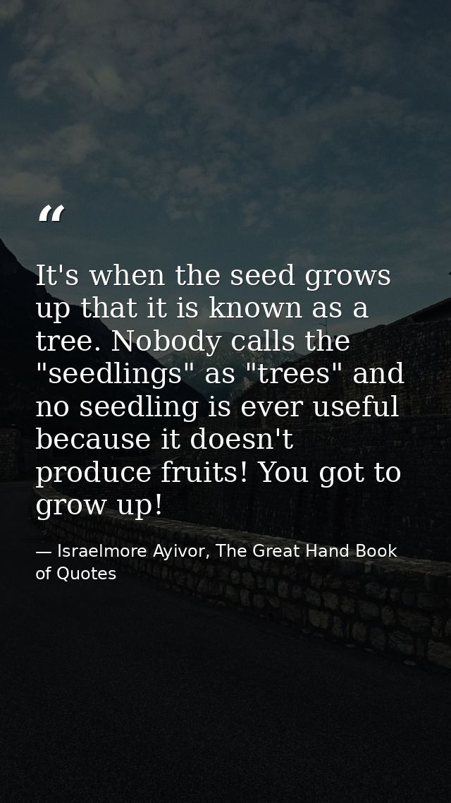 It's when the seed grows up that it is known as a tree. Nobody calls the "seedlings" as "trees" and no seedling is ever  — Israelmore Ayivor, The Great Hand Book of Quotes
