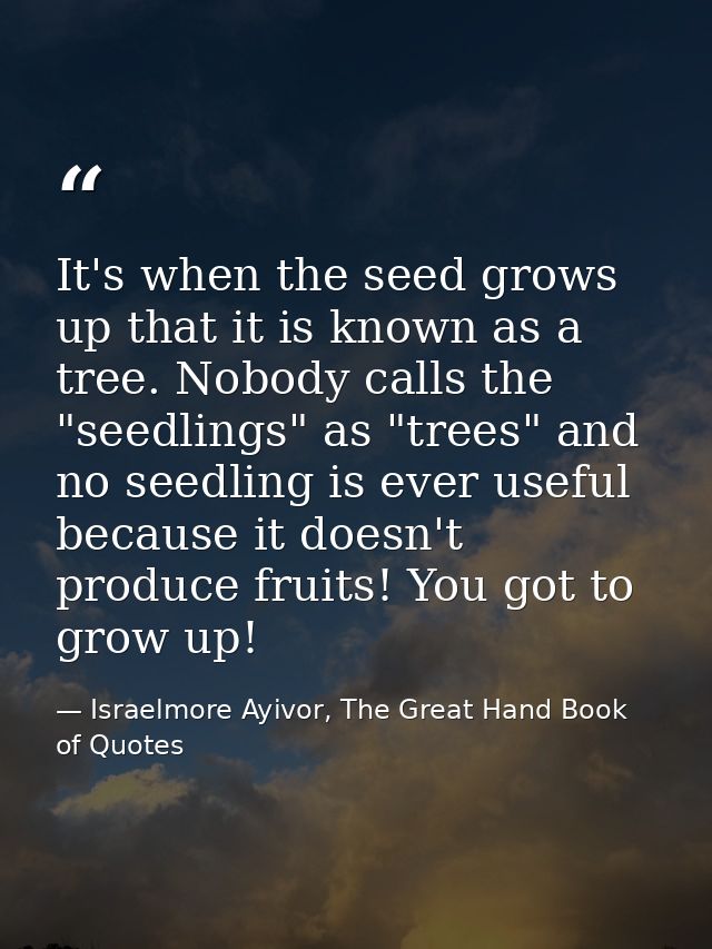 It's when the seed grows up that it is known as a tree. Nobody calls the "seedlings" as "trees" and no seedling is ever  — Israelmore Ayivor, The Great Hand Book of Quotes