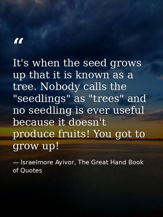 It's when the seed grows up that it is known as a tree. Nobody calls the "seedlings" as "trees" and no seedling is ever  — Israelmore Ayivor, The Great Hand Book of Quotes