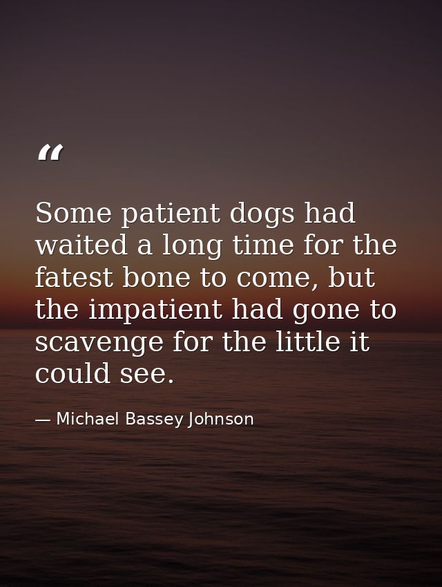 Some patient dogs had waited a long time for the fatest bone to come, but the impatient had gone to scavenge for the lit — Michael Bassey Johnson
