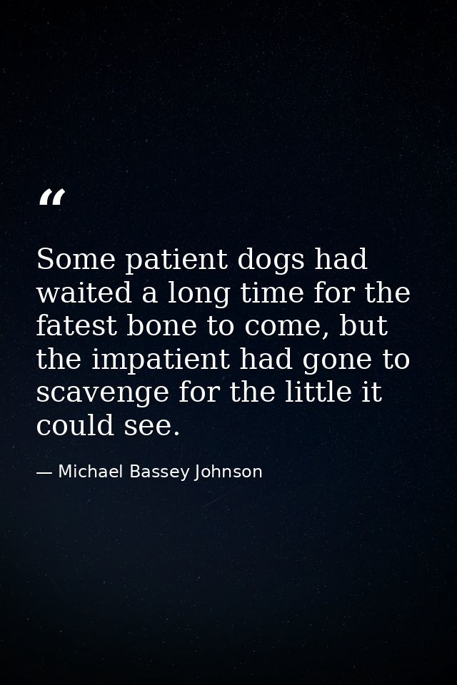 Some patient dogs had waited a long time for the fatest bone to come, but the impatient had gone to scavenge for the lit — Michael Bassey Johnson