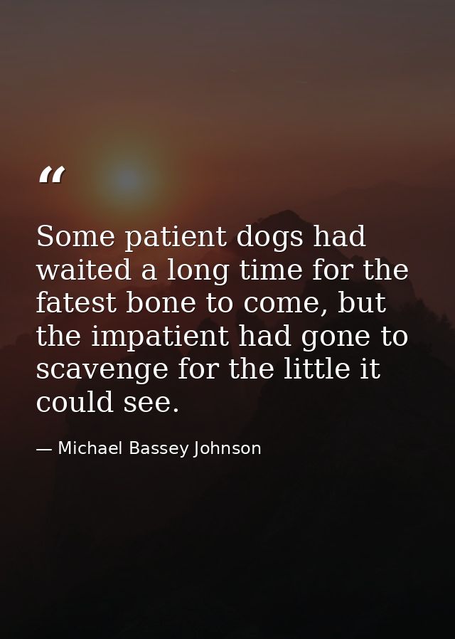 Some patient dogs had waited a long time for the fatest bone to come, but the impatient had gone to scavenge for the lit — Michael Bassey Johnson