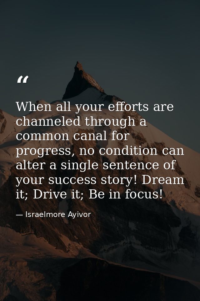 When all your efforts are channeled through a common canal for progress, no condition can alter a single sentence of you — Israelmore Ayivor