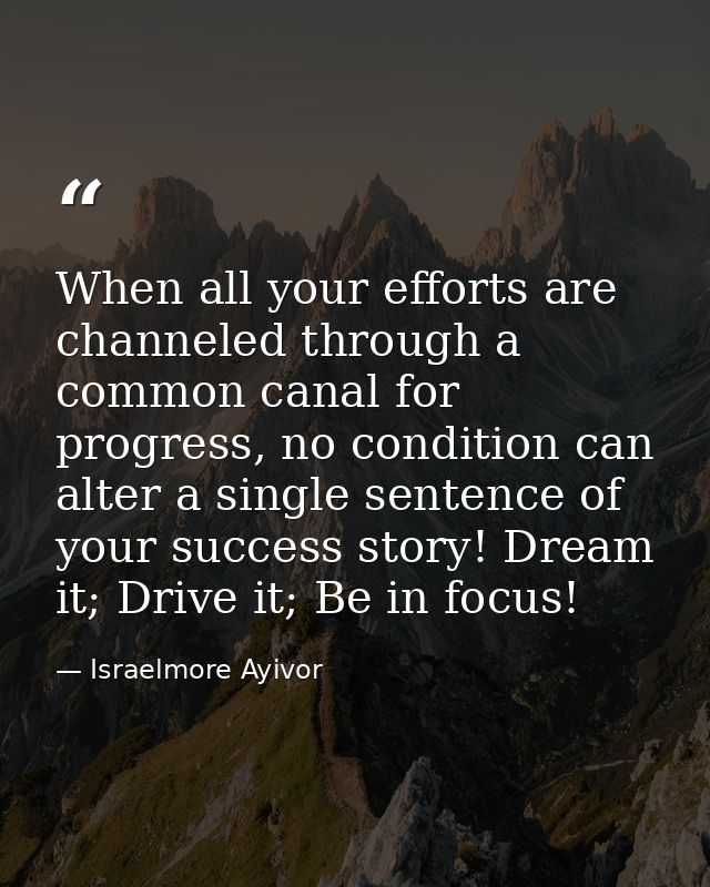 When all your efforts are channeled through a common canal for progress, no condition can alter a single sentence of you — Israelmore Ayivor