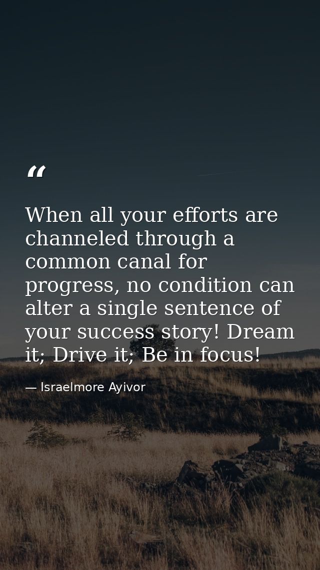When all your efforts are channeled through a common canal for progress, no condition can alter a single sentence of you — Israelmore Ayivor