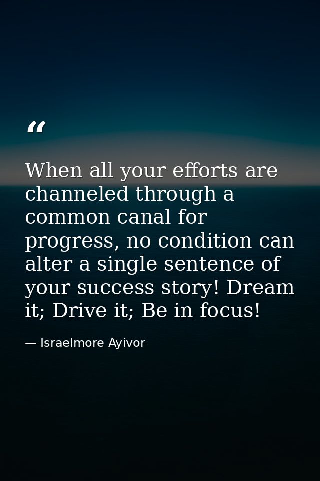 When all your efforts are channeled through a common canal for progress, no condition can alter a single sentence of you — Israelmore Ayivor