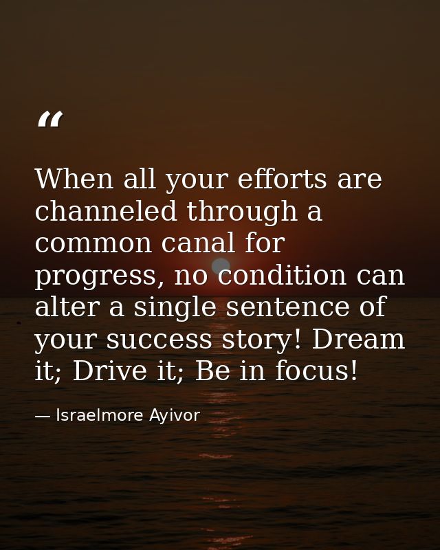 When all your efforts are channeled through a common canal for progress, no condition can alter a single sentence of you — Israelmore Ayivor