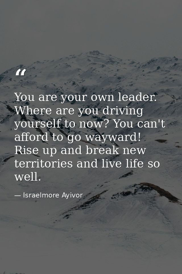 You are your own leader. Where are you driving yourself to now? You can't afford to go wayward! Rise up and break new te — Israelmore Ayivor