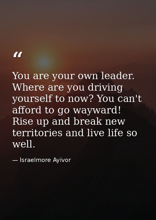 You are your own leader. Where are you driving yourself to now? You can't afford to go wayward! Rise up and break new te — Israelmore Ayivor