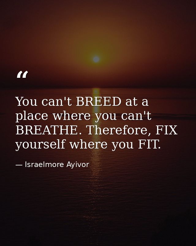 You can't BREED at a place where you can't BREATHE. Therefore, FIX yourself where you FIT. — Israelmore Ayivor