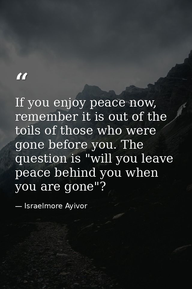 If you enjoy peace now, remember it is out of the toils of those who were gone before you. The question is "will you lea — Israelmore Ayivor