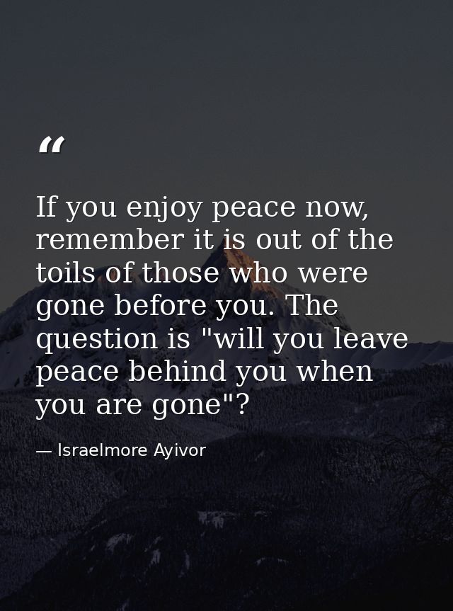 If you enjoy peace now, remember it is out of the toils of those who were gone before you. The question is "will you lea — Israelmore Ayivor