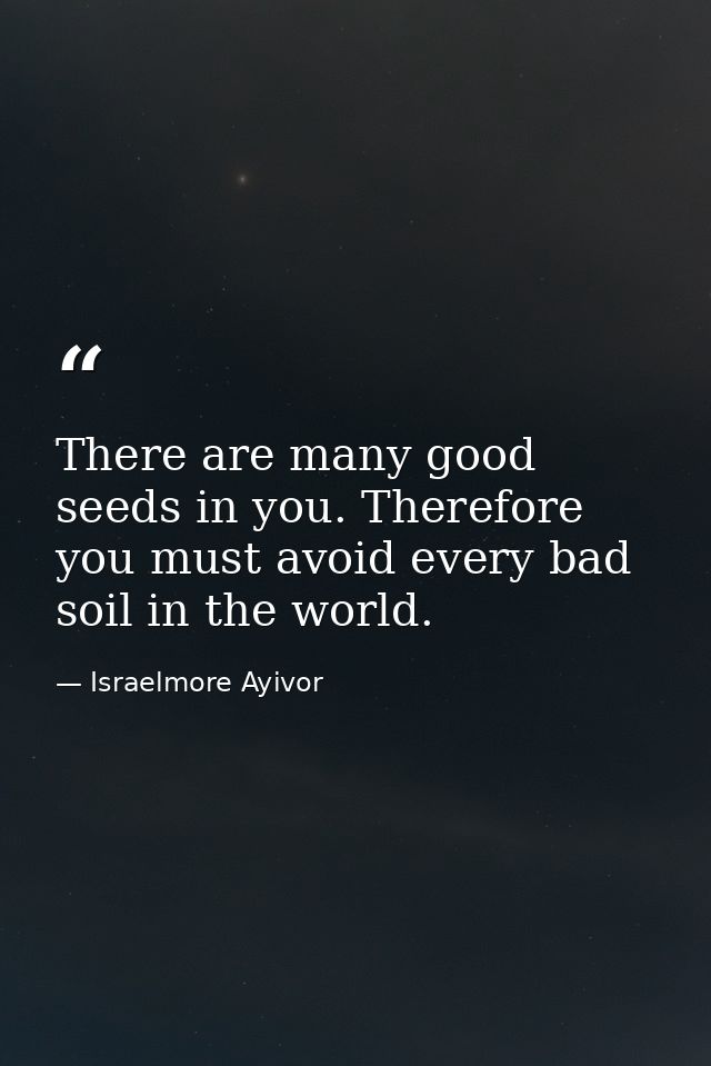 There are many good seeds in you. Therefore you must avoid every bad soil in the world. — Israelmore Ayivor