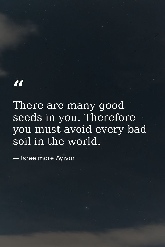 There are many good seeds in you. Therefore you must avoid every bad soil in the world. — Israelmore Ayivor