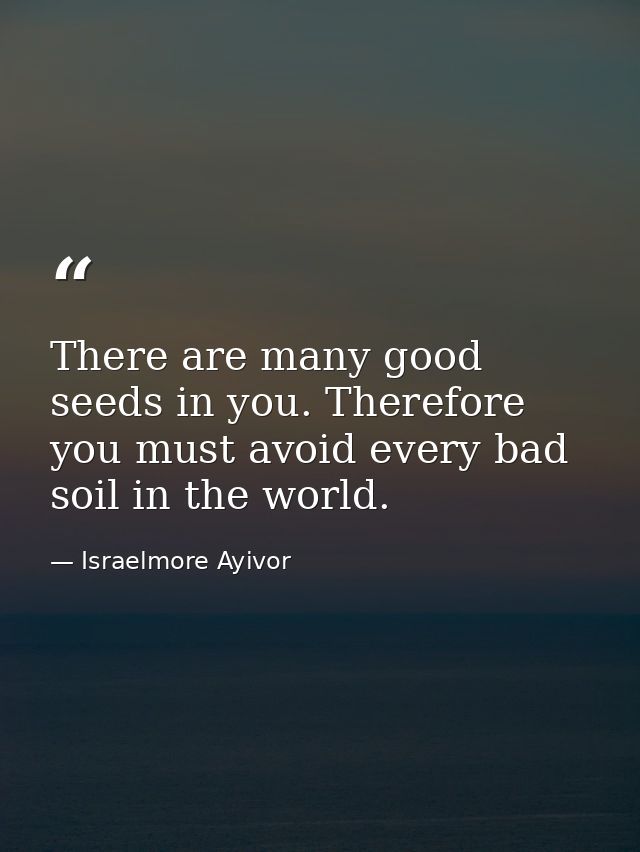 There are many good seeds in you. Therefore you must avoid every bad soil in the world. — Israelmore Ayivor