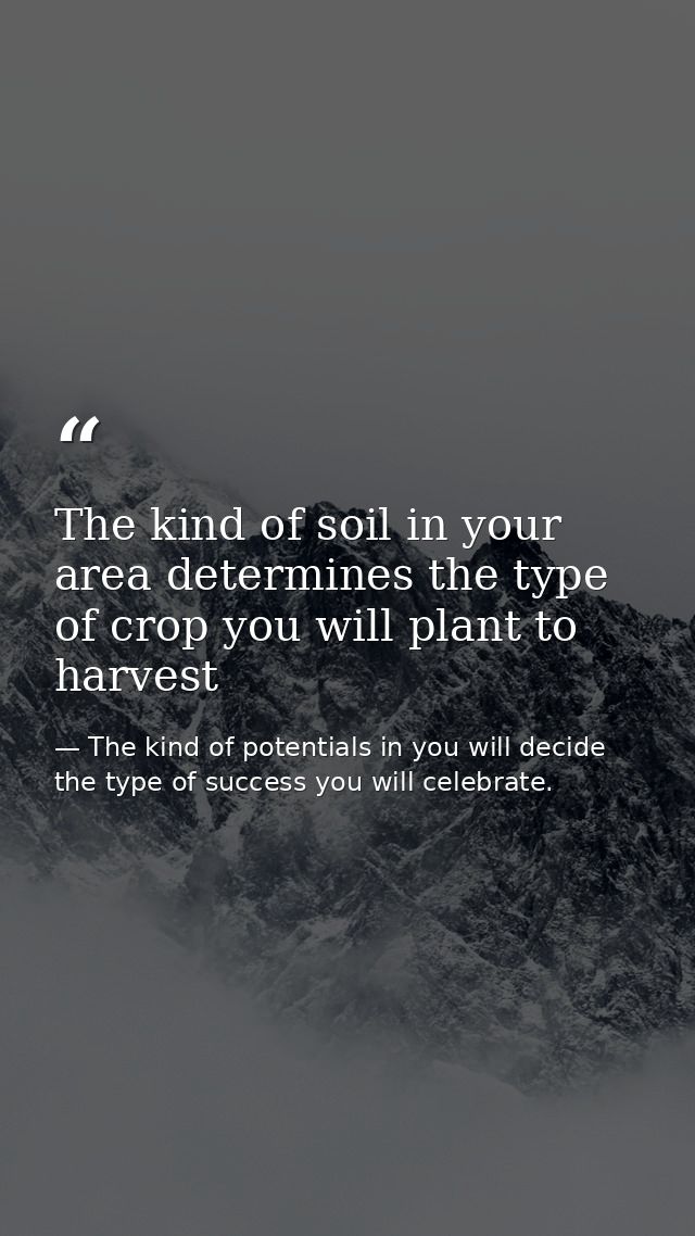 The kind of soil in your area determines the type of crop you will plant to harvest — The kind of potentials in you will decide the type of success you will celebrate.