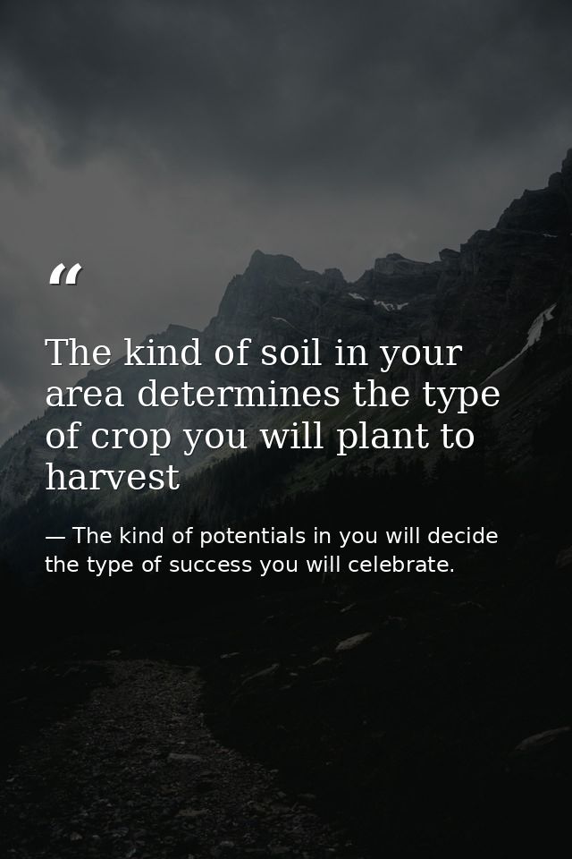The kind of soil in your area determines the type of crop you will plant to harvest — The kind of potentials in you will decide the type of success you will celebrate.