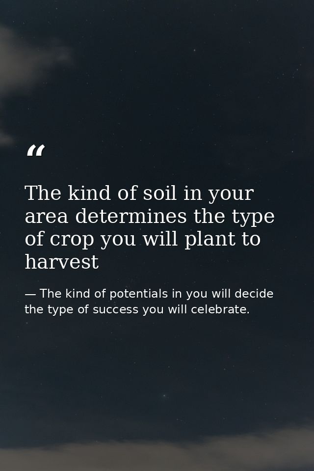 The kind of soil in your area determines the type of crop you will plant to harvest — The kind of potentials in you will decide the type of success you will celebrate.