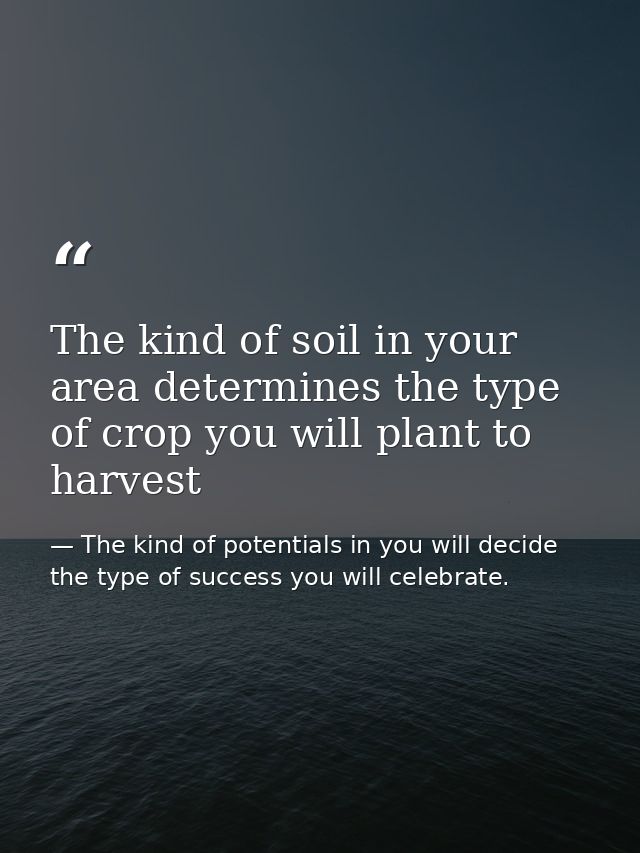 The kind of soil in your area determines the type of crop you will plant to harvest — The kind of potentials in you will decide the type of success you will celebrate.