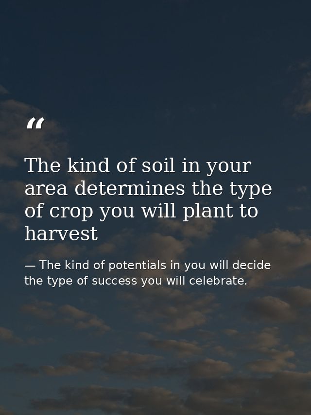 The kind of soil in your area determines the type of crop you will plant to harvest — The kind of potentials in you will decide the type of success you will celebrate.