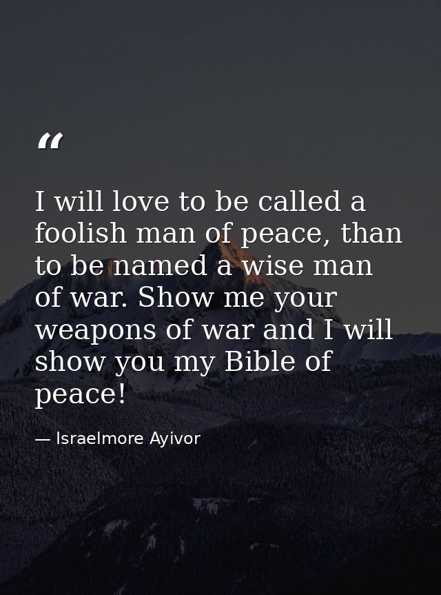 I will love to be called a foolish man of peace, than to be named a wise man of war. Show me your weapons of war and I w — Israelmore Ayivor