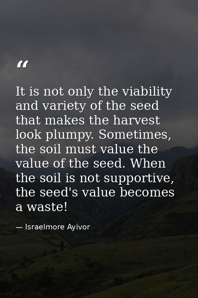 It is not only the viability and variety of the seed that makes the harvest look plumpy. Sometimes, the soil must value  — Israelmore Ayivor