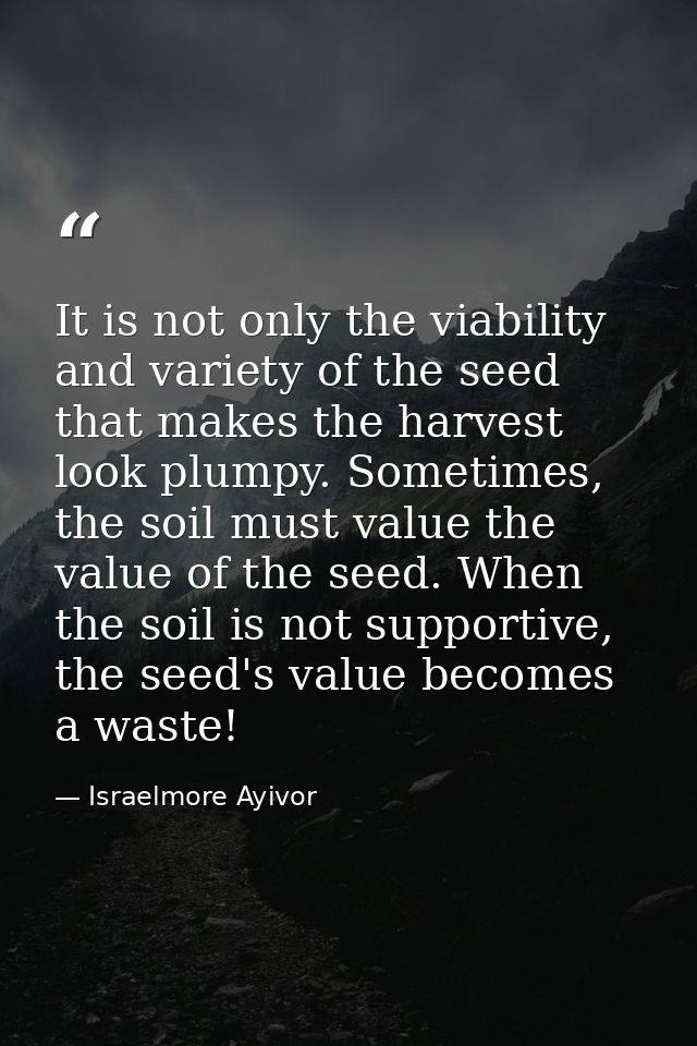 It is not only the viability and variety of the seed that makes the harvest look plumpy. Sometimes, the soil must value  — Israelmore Ayivor