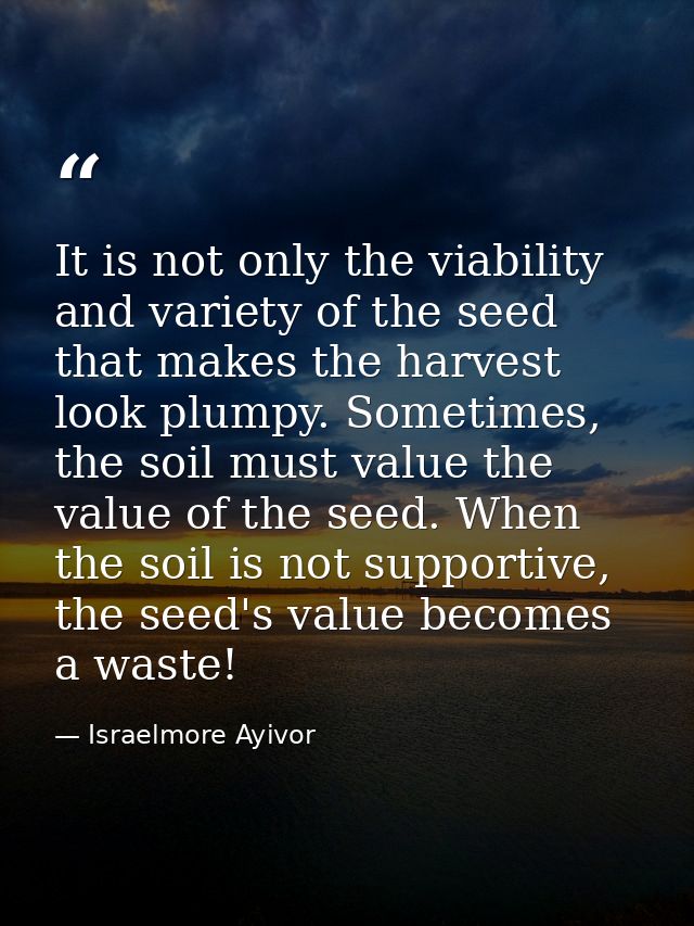 It is not only the viability and variety of the seed that makes the harvest look plumpy. Sometimes, the soil must value  — Israelmore Ayivor