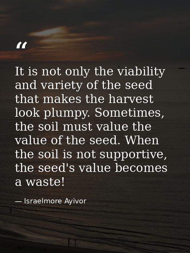 It is not only the viability and variety of the seed that makes the harvest look plumpy. Sometimes, the soil must value  — Israelmore Ayivor
