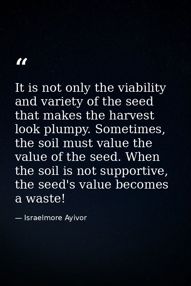 It is not only the viability and variety of the seed that makes the harvest look plumpy. Sometimes, the soil must value  — Israelmore Ayivor