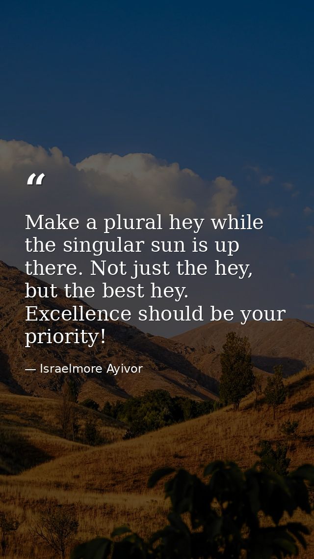 Make a plural hey while the singular sun is up there. Not just the hey, but the best hey. Excellence should be your prio — Israelmore Ayivor