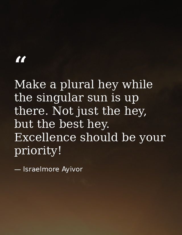 Make a plural hey while the singular sun is up there. Not just the hey, but the best hey. Excellence should be your prio — Israelmore Ayivor